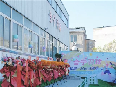 长丰合宁球馆